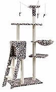 Barva leopard